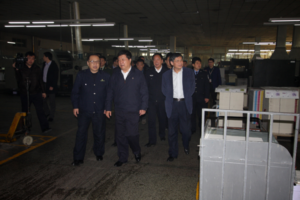 市领导莅临集团督导安全生产工作